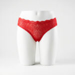 Crimson Whisper Sheer Floral Lace Bikini Panty