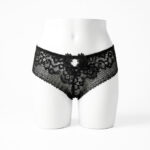 Shadow Flora Sheer Embroidered Mesh Brief